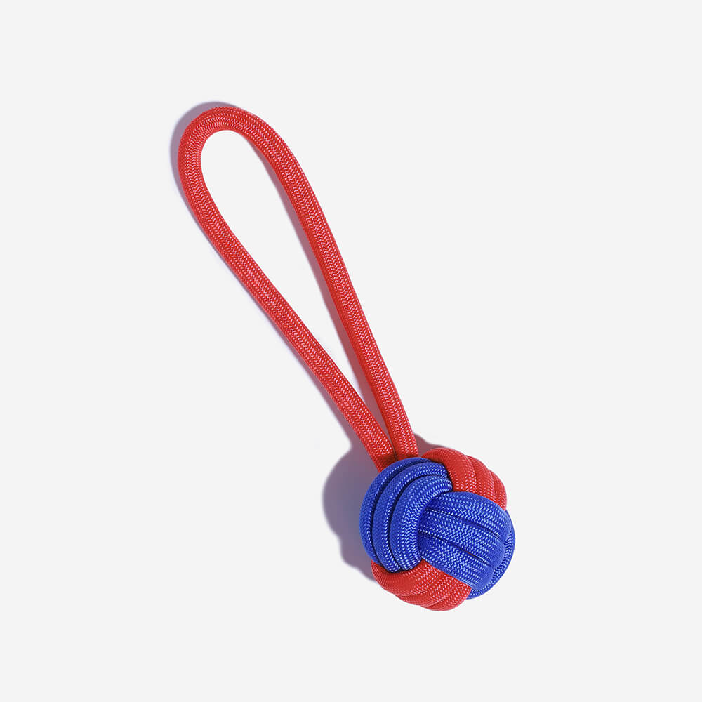 Free Monthly Gift - Contrasting Color Braided Rope Dog Toys