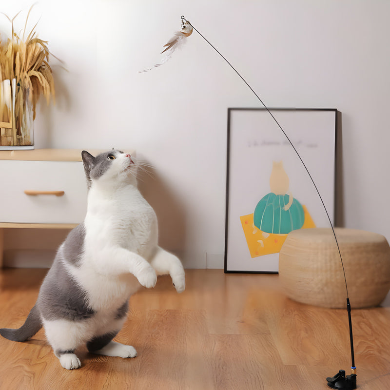 Free Monthly Gift - Interactive Bird Simulation Feather Cat Toy