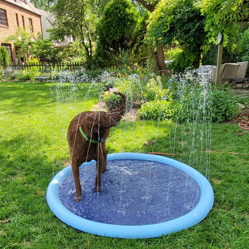 Splash Pad - Endless Doggy Summer Fun! – SplootPuppy