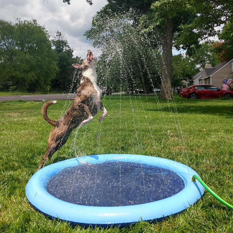 Splash Pad - Endless Doggy Summer Fun! – SplootPuppy
