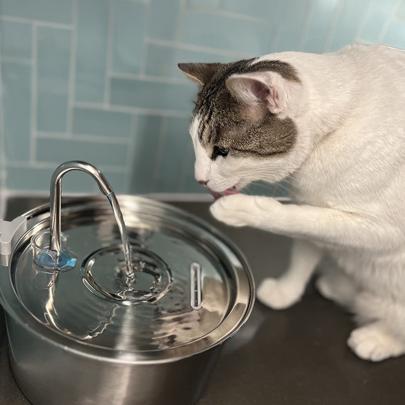 Stainless Steel Faucet Cat Water Fountain
